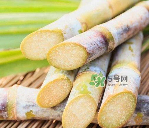 甘蔗是酸性還是堿性？甘蔗是水果嗎