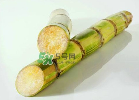 甘蔗是哪里的特產(chǎn)？甘蔗是什么地方的特產(chǎn)