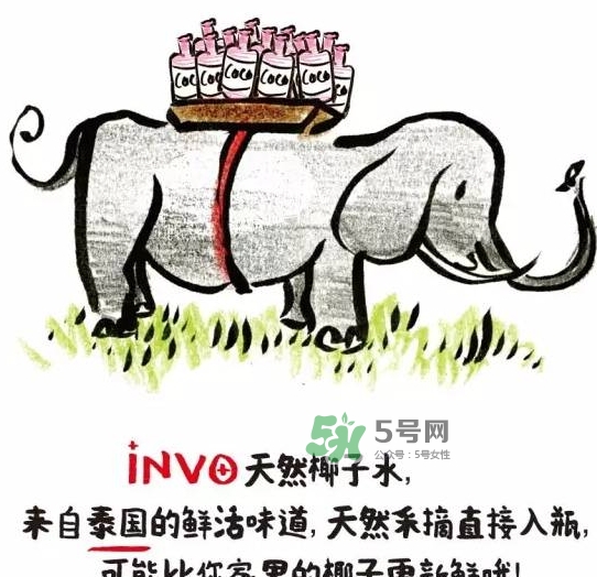invo椰子水多少錢？invo椰子水好喝嗎？