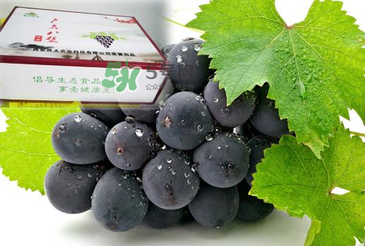 戶太八號(hào)什么時(shí)候成熟？戶太八號(hào)幾月份成熟？