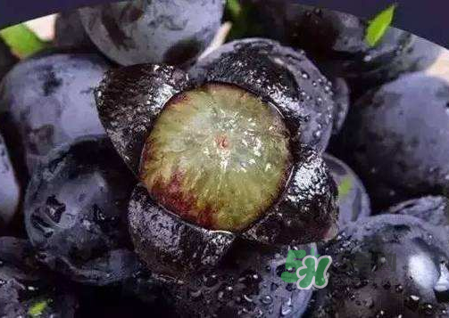 戶太八號多少錢一斤？戶太八號為什么在全國很有名？