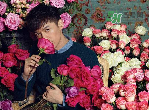 野獸派和roseonly哪個好？野獸派和roseonly區(qū)別
