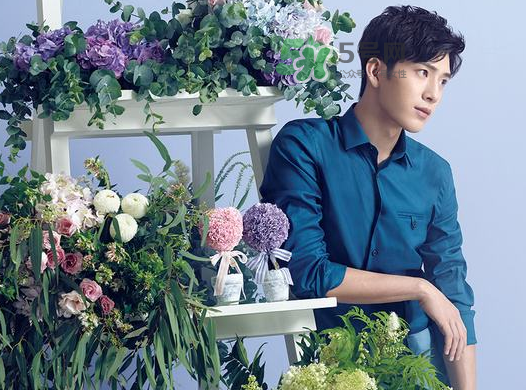 野獸派和roseonly哪個好？野獸派和roseonly區(qū)別