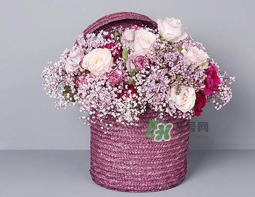 野獸派和roseonly哪個好？野獸派和roseonly區(qū)別
