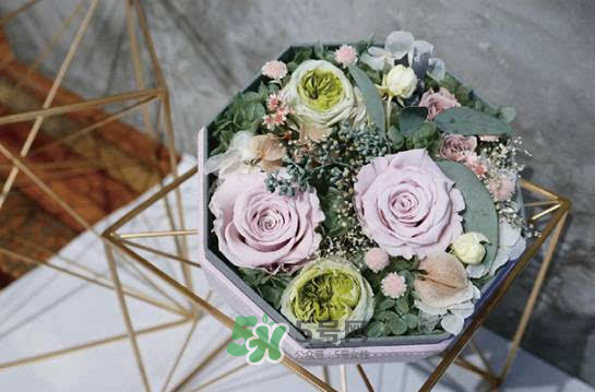 野獸派永生花會(huì)死嗎？野獸派永生花是什么？