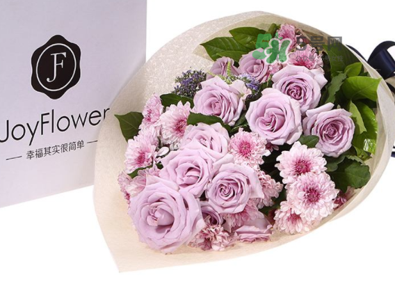 joyflower是哪國品牌？joyflower怎么樣？