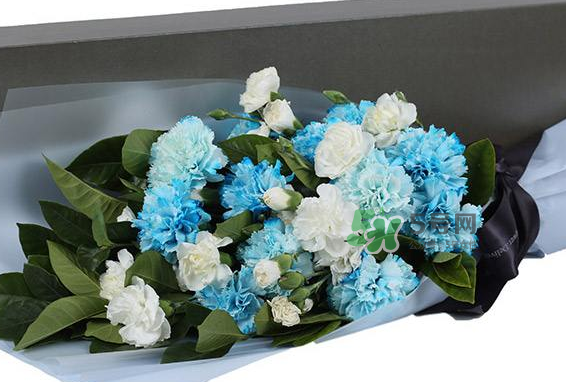 joyflower是哪國品牌？joyflower怎么樣？