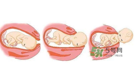 胎兒什么時(shí)候入盆？胎兒入盆后胎動(dòng)會(huì)減少嗎？