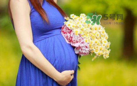 孕婦可以拔牙嗎？孕婦可以拔智齒嗎？