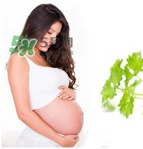 孕婦可以拔牙嗎？孕婦可以拔智齒嗎？