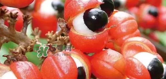黑卡飲料多少錢一瓶？黑卡6小時價格表