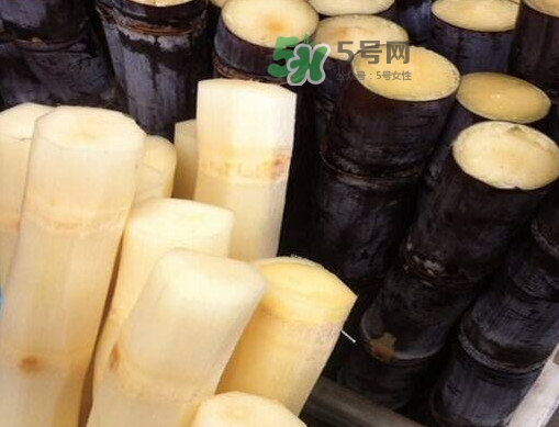甘蔗是哪里的特產(chǎn)？甘蔗是什么地方的特產(chǎn)