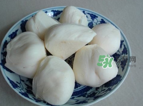 涼薯是什么東西？涼薯是地瓜嗎？