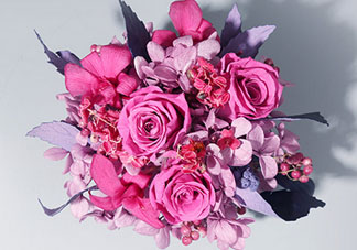 joyflower是哪國品牌？joyflower怎么樣？