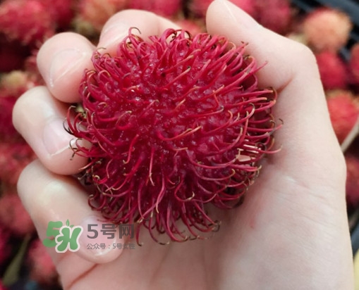 紅毛丹是什么水果？紅毛丹是熱性水果嗎？