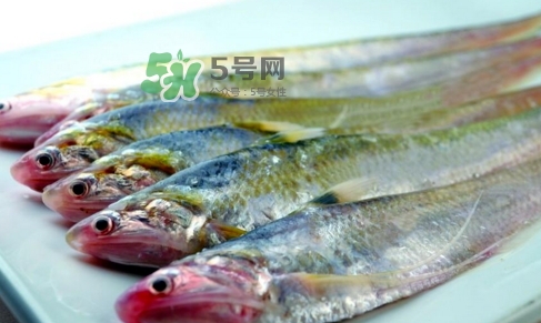 刁子魚是秋刀魚嗎？刁子魚是海魚嗎？