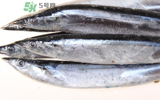 秋刀魚是海魚嗎？秋刀魚是淡水魚還是海魚