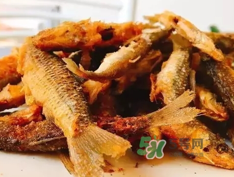刁子魚多少錢一斤？刁子魚價(jià)格表