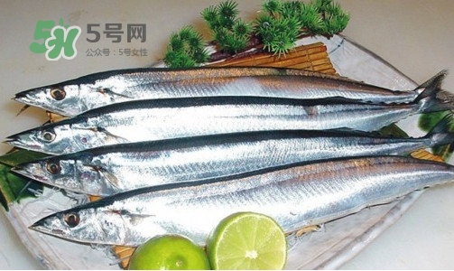 沙丁魚和秋刀魚有什么不一樣？秋刀魚和沙丁魚的區(qū)別