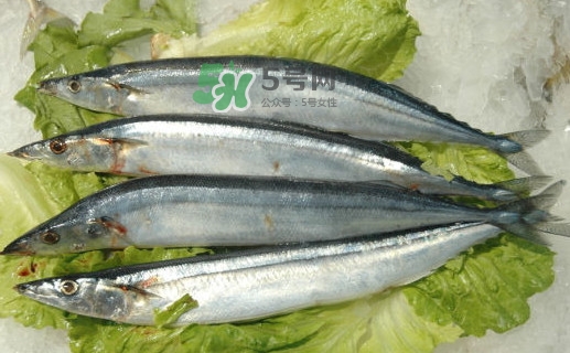 秋刀魚(yú)有魚(yú)鱗嗎？秋刀魚(yú)有寄生蟲(chóng)嗎