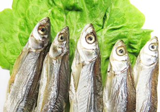 刁子魚是秋刀魚嗎？刁子魚是海魚嗎？