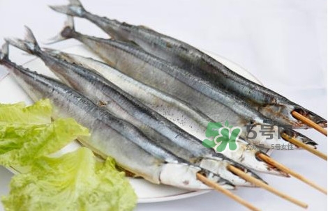 秋刀魚是海魚嗎？秋刀魚是淡水魚還是海魚