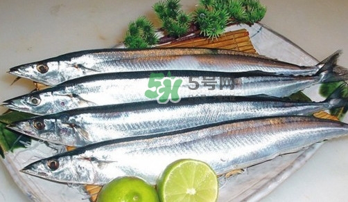 秋刀魚是刀魚嗎？秋刀魚和刀魚的區(qū)別