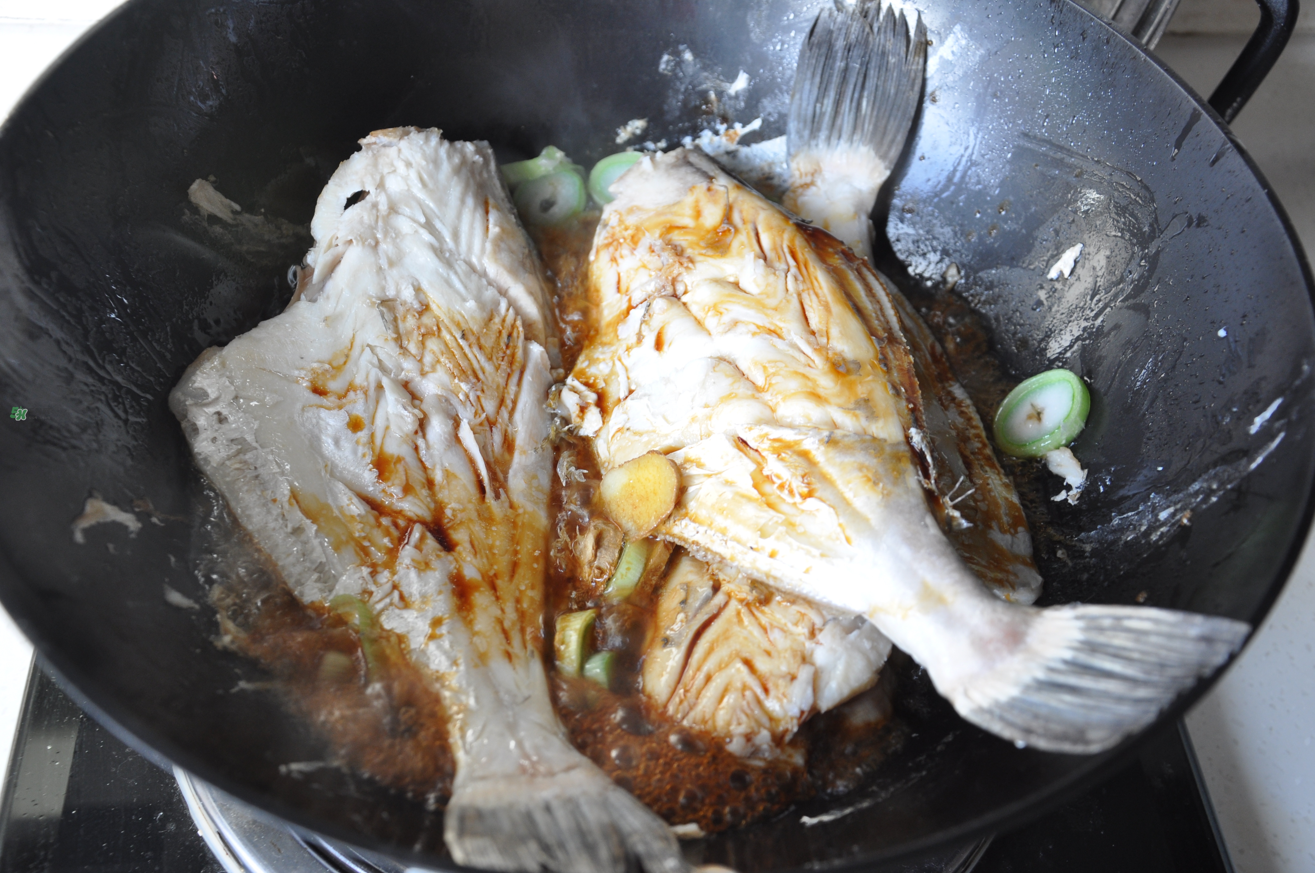 剝皮魚孕婦可以吃嗎？懷孕可以吃剝皮魚嗎？