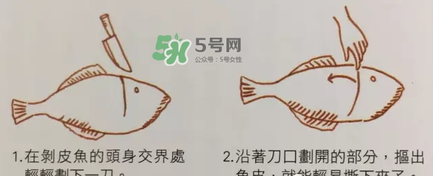 剝皮魚為什么要剝皮？剝皮魚的皮有毒嗎？