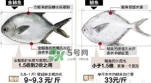 金鯧魚是海魚嗎？金鯧魚的刺多嗎？