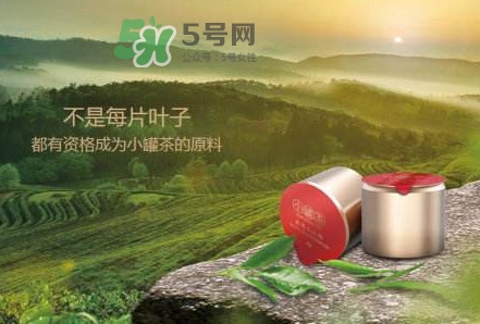 小罐茶是什么茶？小罐茶是哪八種茶？