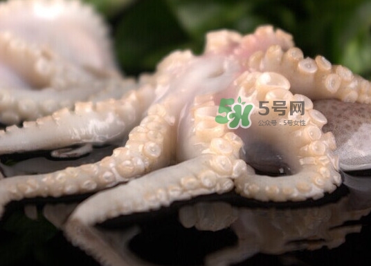 章魚有幾只腳？章魚有幾個(gè)爪子