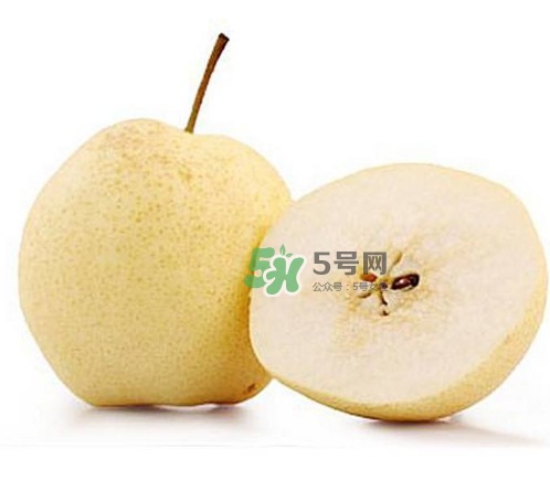 貢梨是雪梨嗎？貢梨和雪梨的區(qū)別