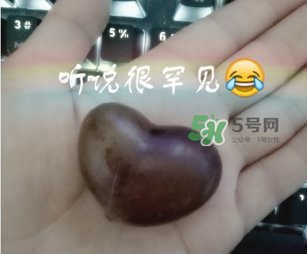 心形葡萄能吃嗎？心形葡萄和普通葡萄的區(qū)別