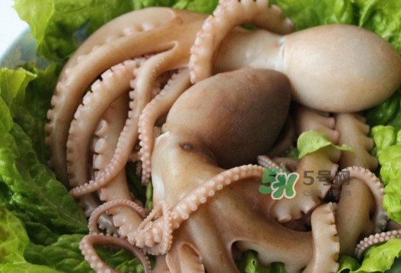 八爪魚的頭能吃嗎？八爪魚的頭里面是什么