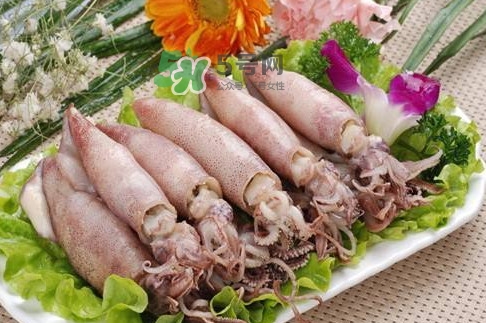 筆管魚怎么做好吃？筆管魚有什么營養(yǎng)