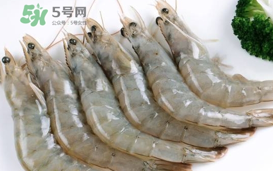 厄瓜多爾蝦是海蝦嗎？厄瓜多爾蝦好吃嗎？