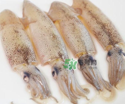 筆管魚是什么魚？筆管魚怎么吃
