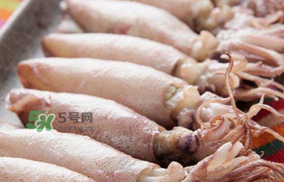 海兔子是小魷魚嗎？海兔子和魷魚的區(qū)別