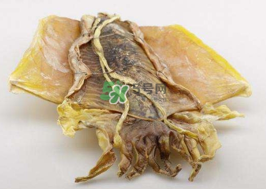 魷魚干是生的還是熟的？魷魚干是海鮮嗎