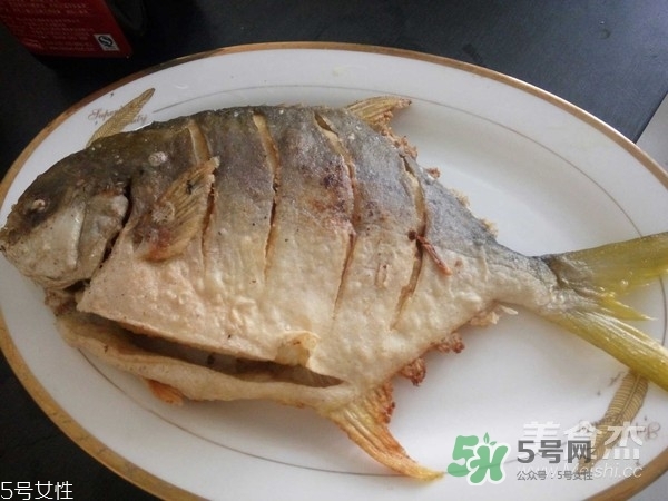 金鯧魚是海魚嗎？金鯧魚的刺多嗎？