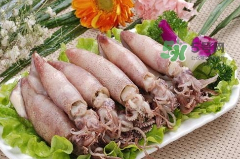 筆管魚是魷魚嗎？筆管魚和魷魚的區(qū)別