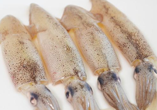 筆管魚是什么魚？筆管魚怎么吃