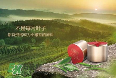 小罐茶怎么樣？小罐茶真的有那么好么