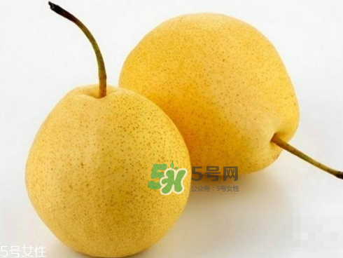 貢梨可以做冰糖雪梨嗎？貢梨可以燉川貝嗎？