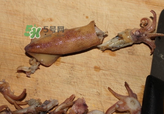 筆管魚怎么清洗？筆管魚怎么處理
