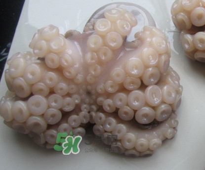 章魚(yú)有牙齒嗎？章魚(yú)天敵是什么