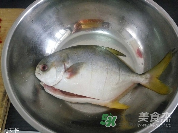 金鯧魚是海魚嗎？金鯧魚的刺多嗎？
