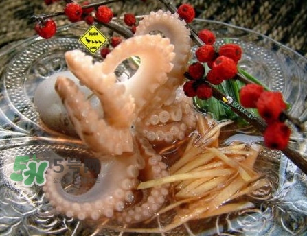 章魚有幾只腳？章魚有幾個(gè)爪子