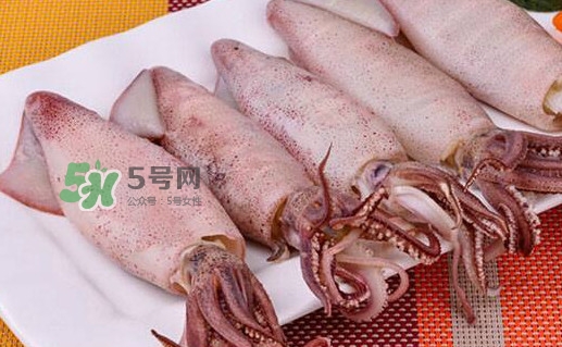 筆管魚怎么做好吃？筆管魚有什么營養(yǎng)